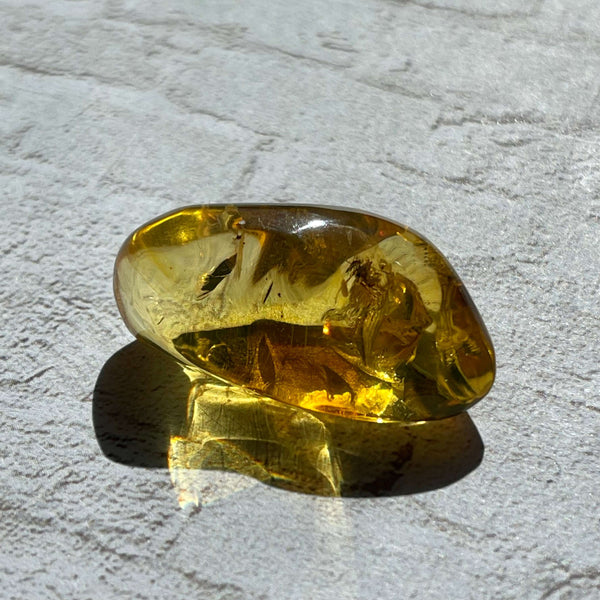 Insect included Chiapas Amber - Image #6