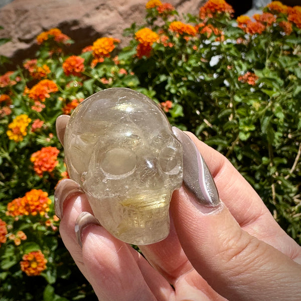 Rutilated Smoky Quartz Skull