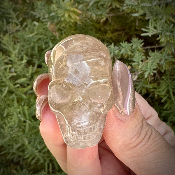 Rutilated Smoky Quartz Skull