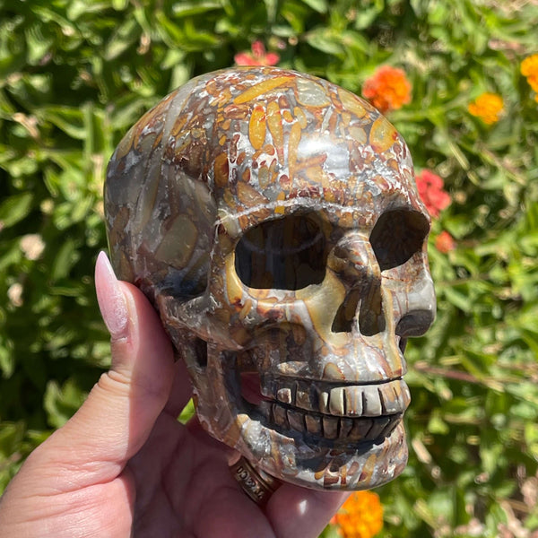 Ibis Jasper Figural Skull - Image #2