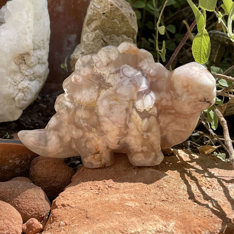 Flower Agate Stegosaurus