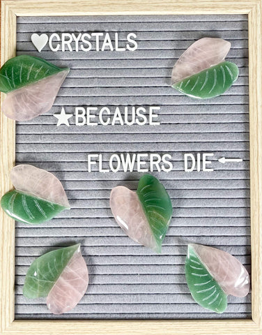 Crystal Philodendron Leaves