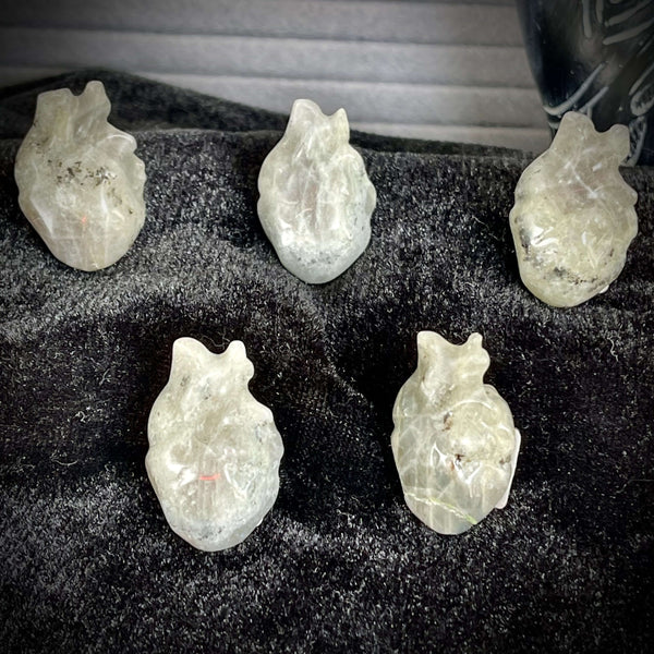 Labradorite Mini Anatomical Hearts