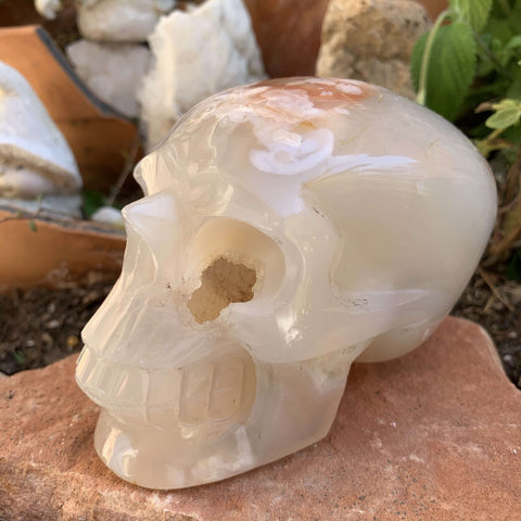 Flower Agate Skull